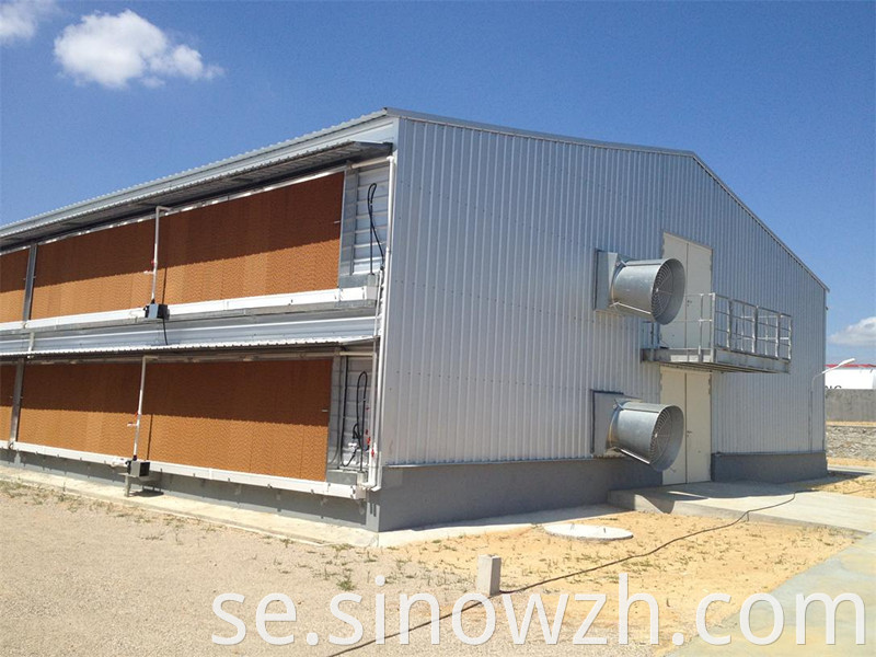 Metal Structure Poultry